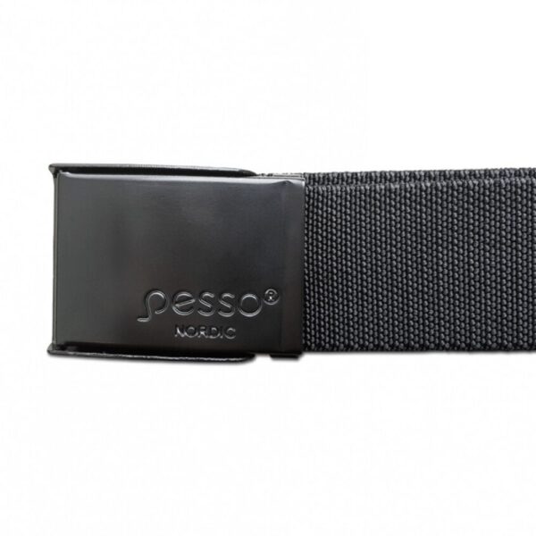 Tekstilinis diržas Pesso 120 | DEP120 | darborubai.lt