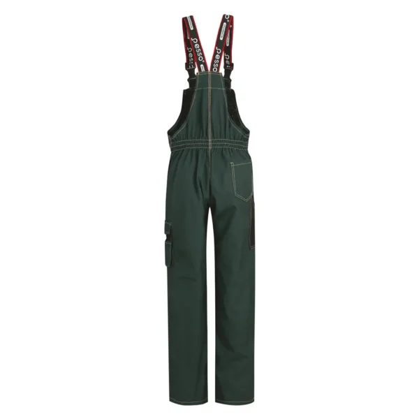 Work overalls Pesso Canvas DPCZ, green | darborubai.lt